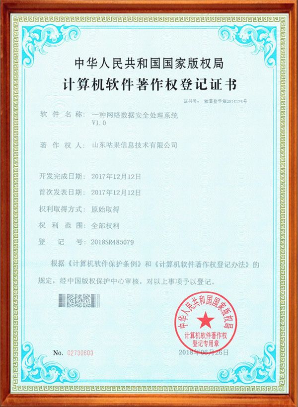 一種網絡數據安全處理系統